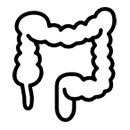 Endoscopia digestiva baja - Dra. Giovanna Parra Gil